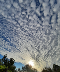 73602_Gallery.webp