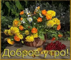 C1A24E1F-F413-4D61-97CB-55ACD593A102.webp