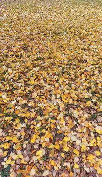 IMG_20220922_194504.webp