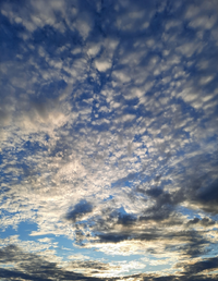 164103_Gallery.webp