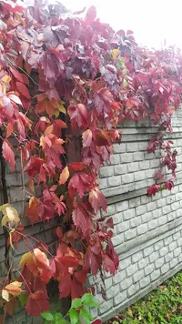 IMG_20220926_151118.webp