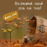 Доброе-утро-осень-красивые-картинки-1.webp