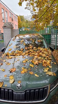 IMG20221002113710.webp