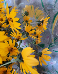 03703_Gallery.webp