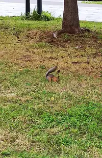 IMG_20221006_082231.webp