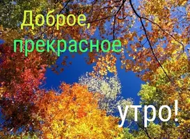 06e15b0ee06f2b8a5add9fe6311ad900.webp