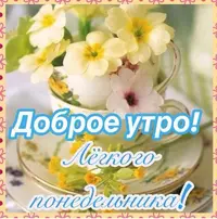 C48CA544-345B-4F4C-B236-425C862EF4D8.webp