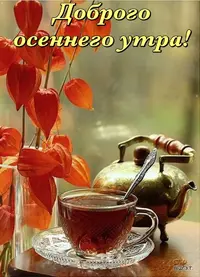 07133e8d489bbd4333dc04030430584c.webp