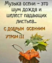 be86eb7c29bd5101ee56b8f80073e40f.webp