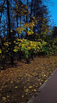 IMG20221010181143.webp