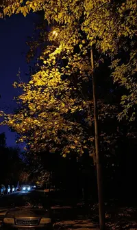 IMG20221010183216.webp
