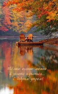 710C6295-779C-47F2-AC23-10E92A40D34D.webp