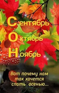 692743f932839f93e933c3b646ca38e8.webp
