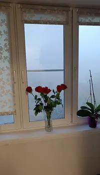 IMG20221014065741.webp
