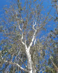53950_Gallery.webp