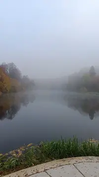 IMG20221014080548.webp