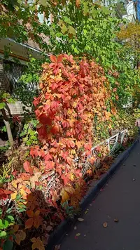 IMG20221014115454.webp