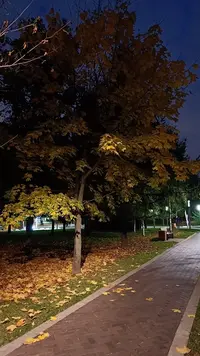 IMG20221014182310.webp
