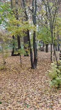 IMG20221015121709.webp