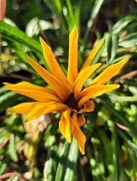 40828_Gallery.webp