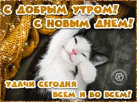 i.webp