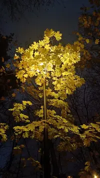 IMG20221019175458.webp