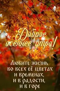 6f41c52be27f72a012f0eb0e0000d13c.webp