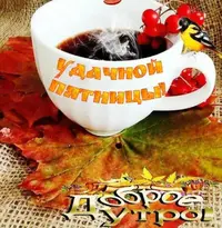 A99869D0-71E5-428B-9935-725F9F951185.webp