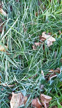 IMG_20221021_075527.webp