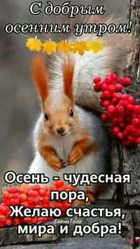 IMG_20221010_213137.webp