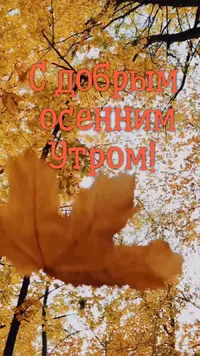 844629E0-74B2-43A0-B33B-CB4E896A45FB.webp