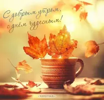 01dc8d971d6e29e6ad984ab4575f0dc9.webp