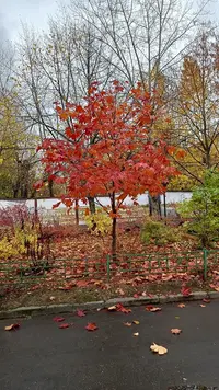 IMG20221022130434.webp