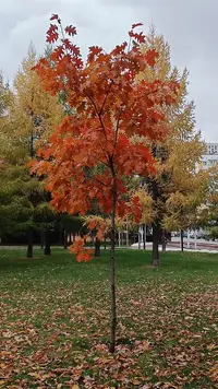 IMG20221022143436.webp