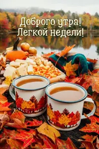 4AA57675-3A61-4855-A1EC-4C70EB695E9F.webp