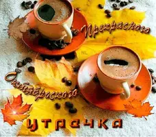 338A4617-F3FA-456F-B9C2-8CB3AE466161.webp