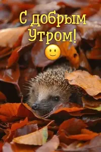 25991D80-E41D-46C1-A9F2-2ECF4DFDDA8A.webp