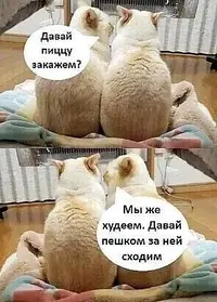 728a50e89b93dbdc47a64b93c0bd955d.webp
