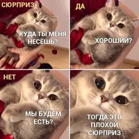 24d62aea5de9a8d75cb9686289a174c3.webp