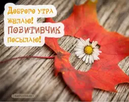 20F46D1B-3BBC-405B-809C-27C1611AA6E6.webp