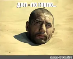 a034564d02ea0a8ff7e9c5522fd7998a.webp