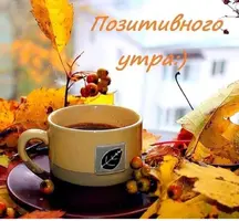 IMG-20221029-WA0007.webp
