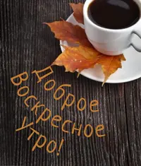990291E8-3923-437A-952D-D74F9A6718C0.webp