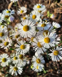 73633_Gallery.webp