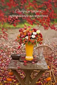 1ff0af29d5f82ef84278839d8c34abe4.webp