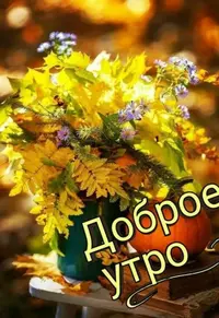 AC088F36-A0AA-497A-9406-35206C8C9F00.webp