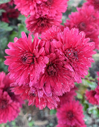 23824_Gallery.webp