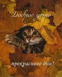 917696022639f6eb86684b406d49d56e.webp
