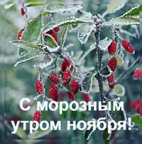 DB715DFD-5EF3-4BD1-8D23-E7A745B4E7E6.webp