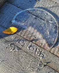 00147_Gallery.webp